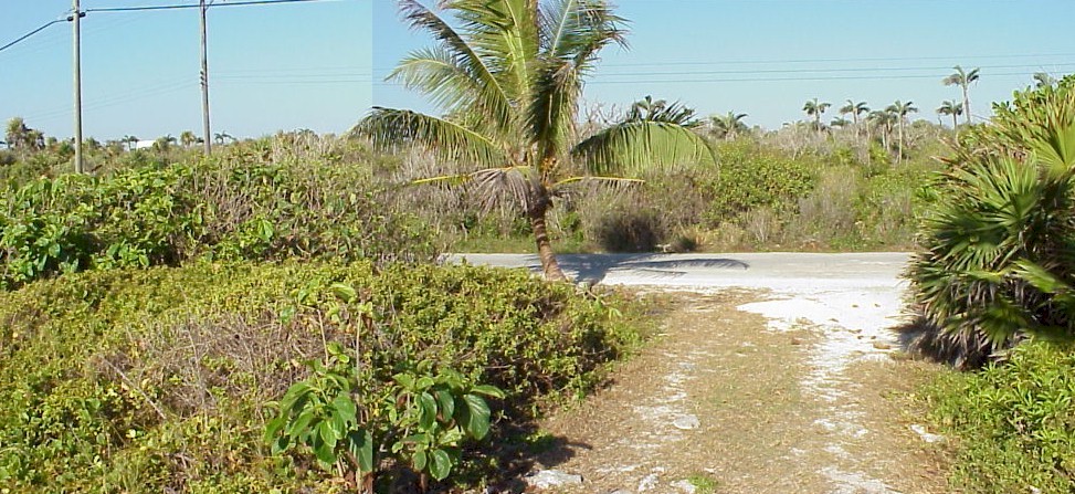 Panorama to road from mid driveway.jpg (201994 bytes)